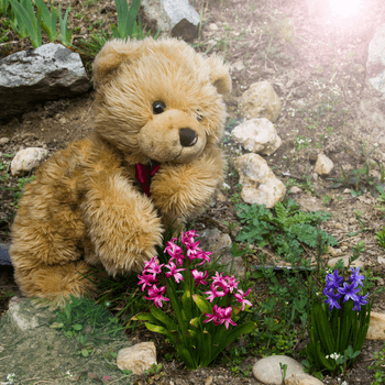 palintatarsulat.hu - A legjobb gyerekműsorok egy helyen