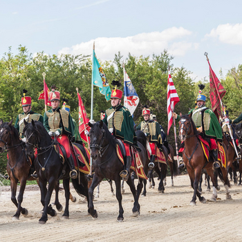 palintatarsulat.hu - A legjobb gyerekműsorok egy helyen